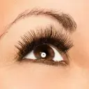 Semi-Permanent Lashes